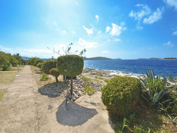 Playa en los alrededores 