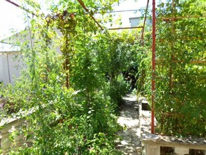 Courtyard - Apartments Miodrag (Rogoznica)