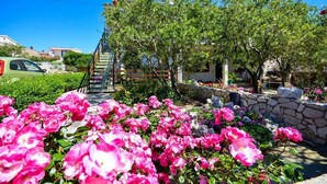 A garden with pink flowers, a stone wall, and a staircase leading to a house. - Apartments Tome (Povljana)
