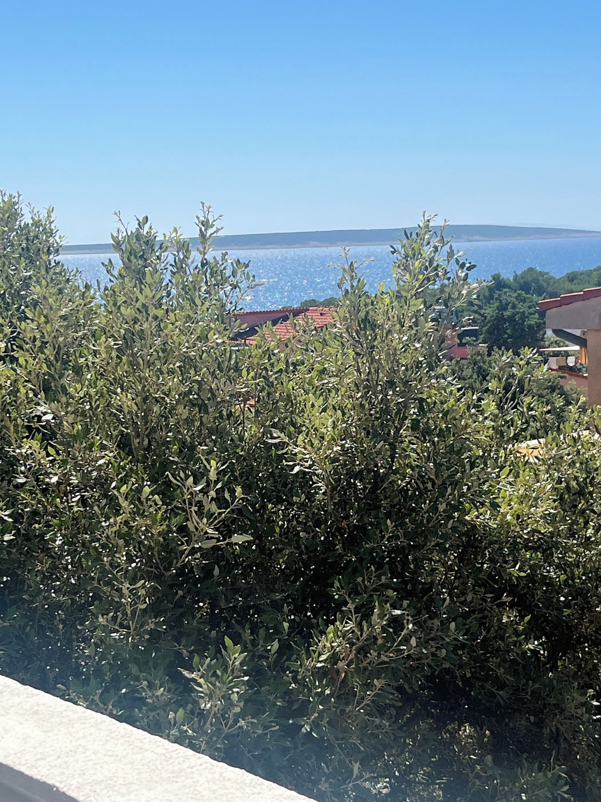 Appartement (A5) | Terrasse/Patio