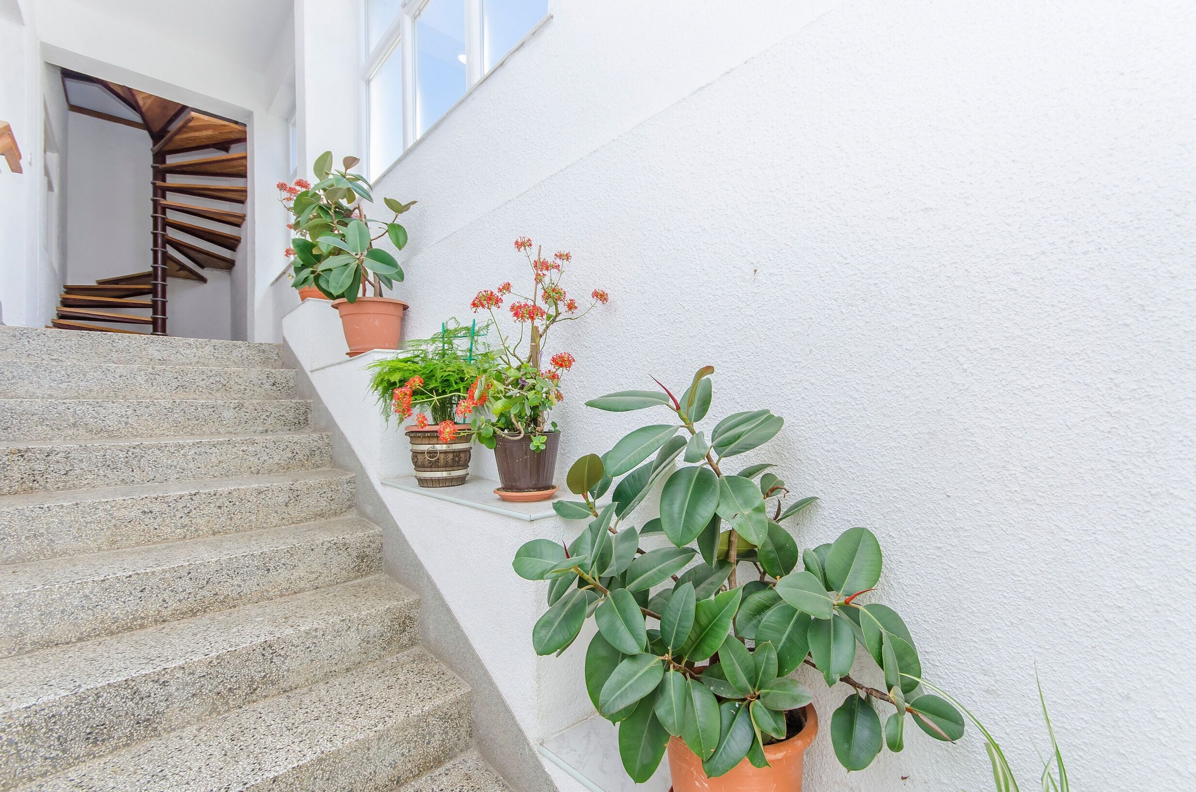 Eine Treppe mit Blumentöpfen und einer weißen Wand.