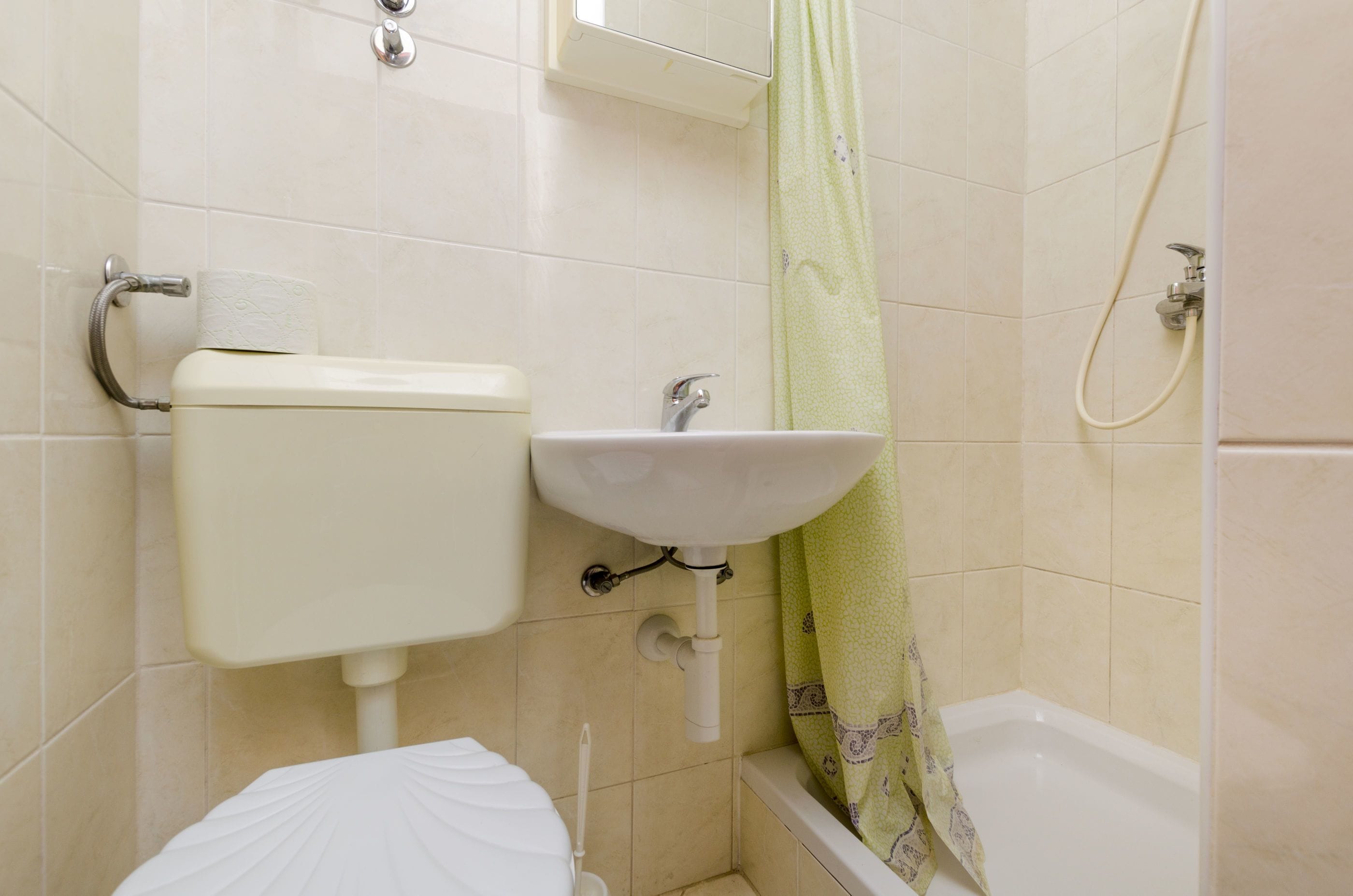 Une salle de bain avec des toilettes, un lavabo et une douche.
