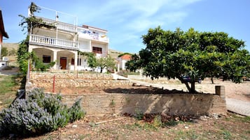 Disseny de l'edifici