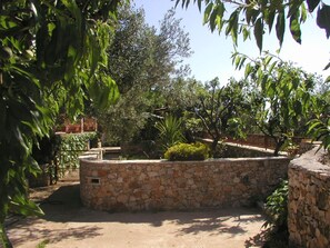 Studio (A1) | Courtyard