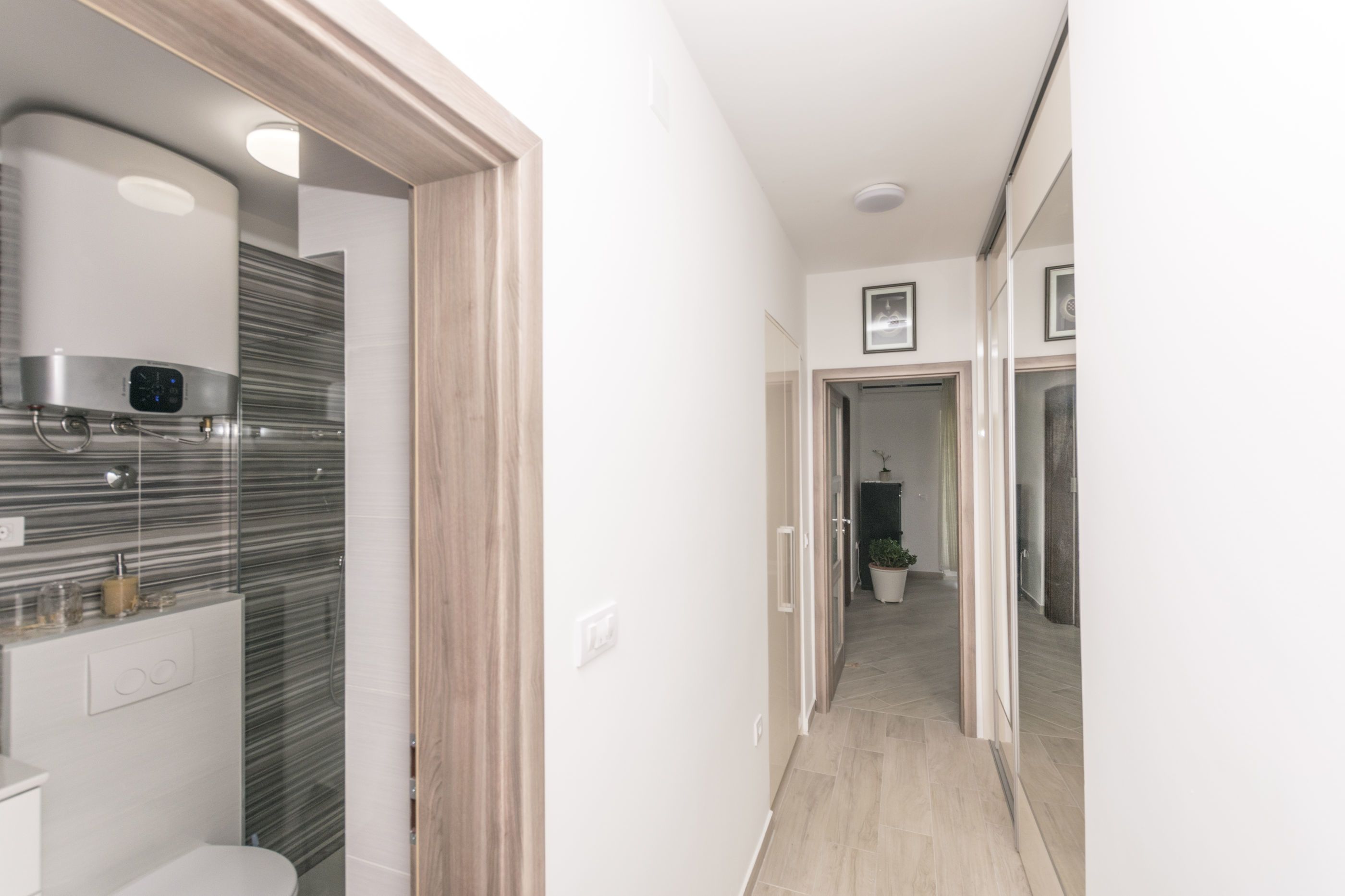 A modern bathroom with a shower, toilet, and a built-in heater. A hallway leads to a living area with a potted plant.