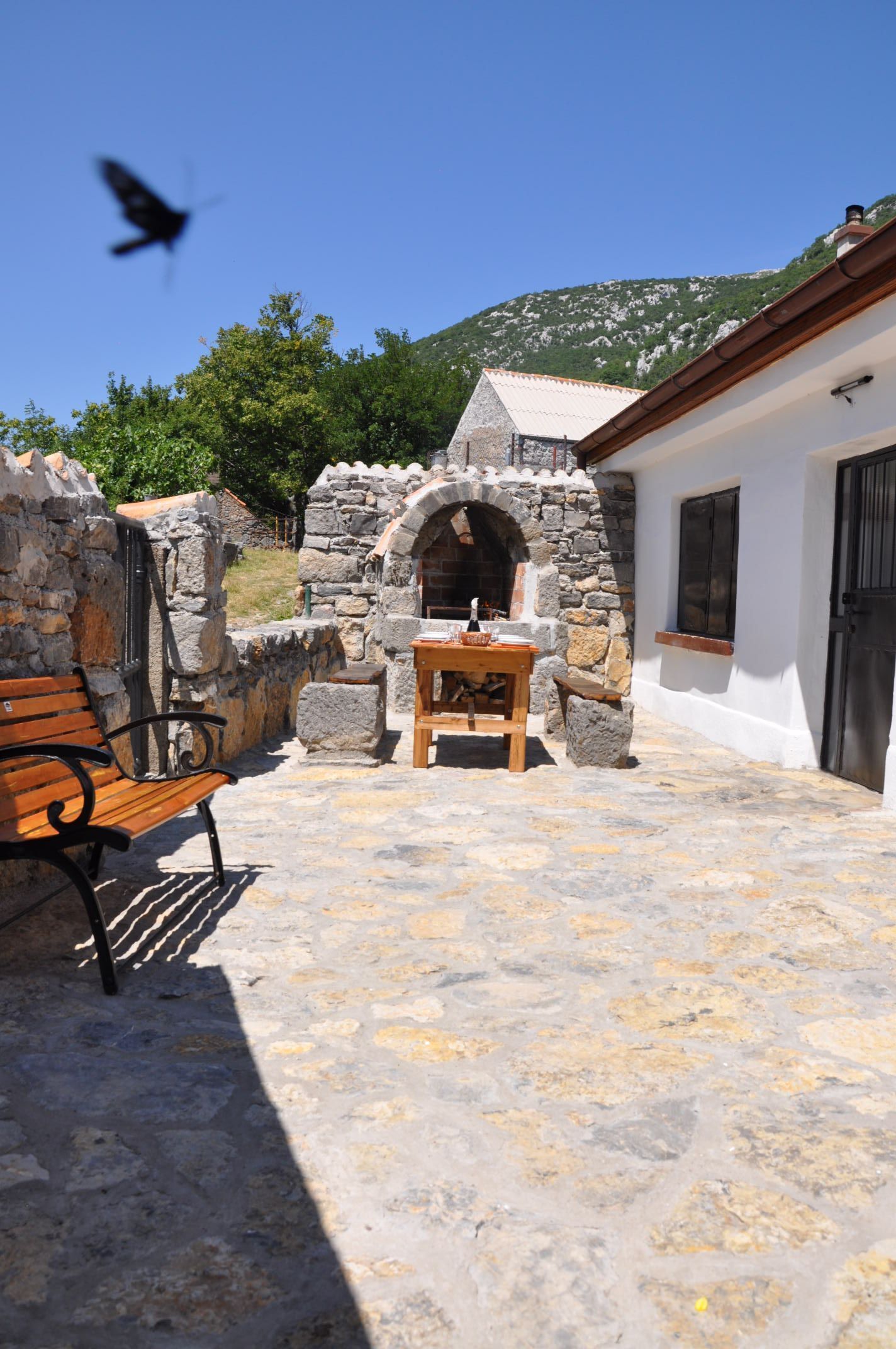 Terraza o patio