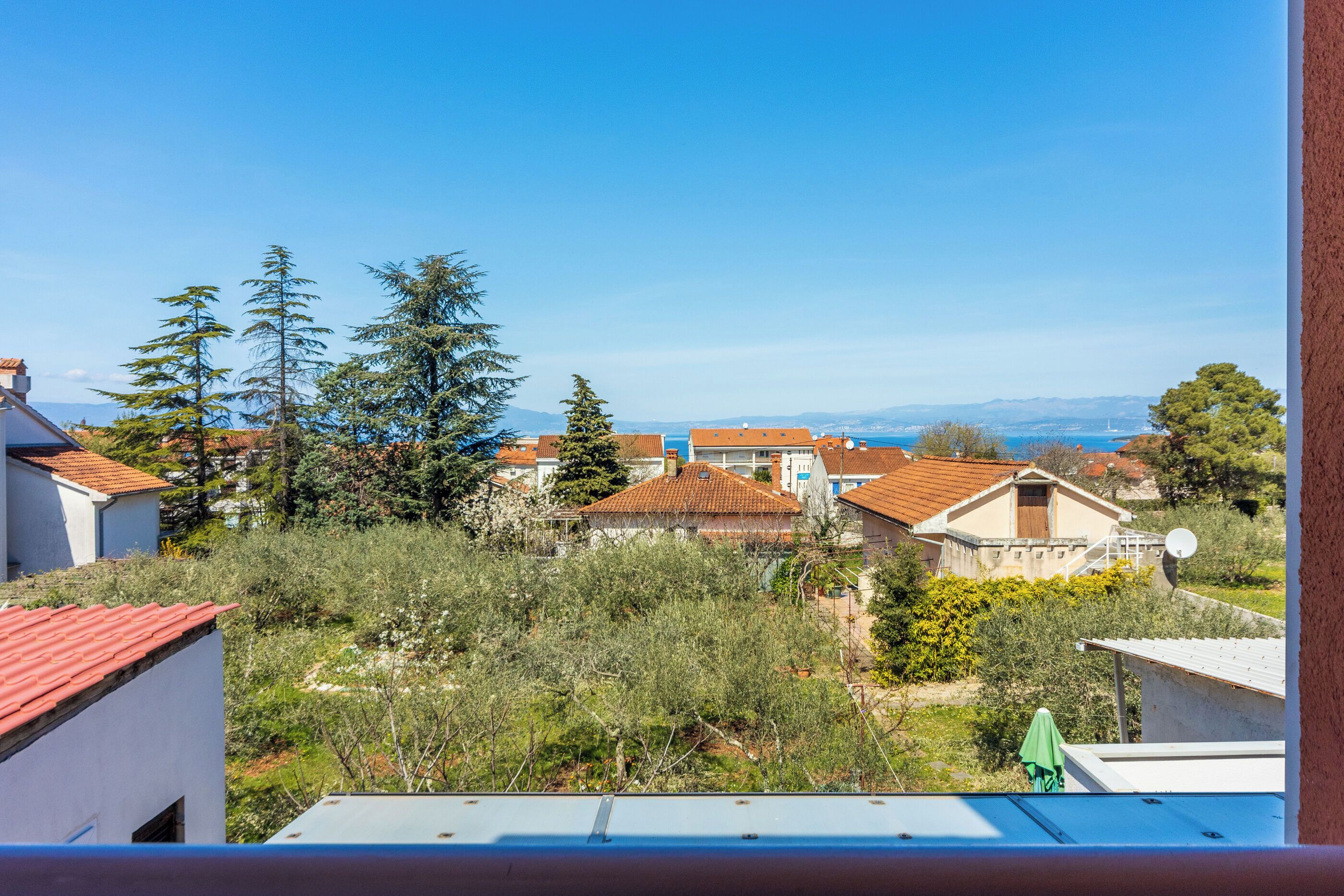 公寓 (A1) | 鸟瞰图