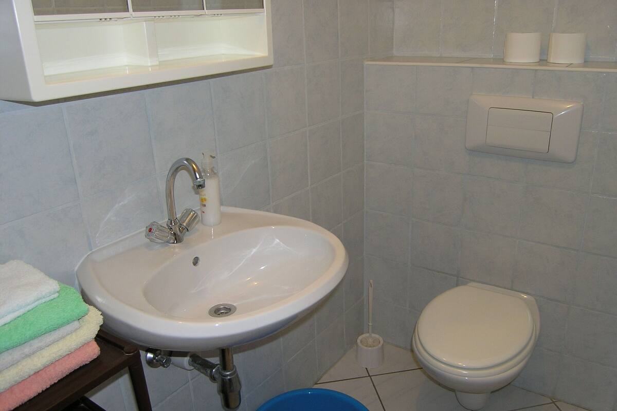 Un bagno con un lavandino bianco, un WC e una bacinella blu.