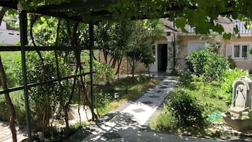 Khuôn viên nơi lưu trú