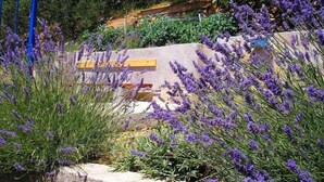 A garden with lavender plants and a stone wall. - Apartments Dragana (Lokva Rogoznica)