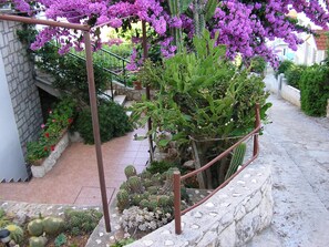 Courtyard - Apartments Katica (Okrug)
