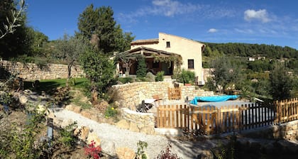 L'Estuve Provençale