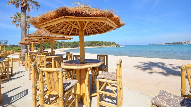 Sitzbereich im Freien mit reetgedeckten Sonnenschirmen, Blick auf den Strand und Palmen.