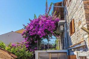 A building with a stone facade, a balcony with a metal railing, and a large bush of purple flowers. - House Nevenka (Medulin)
