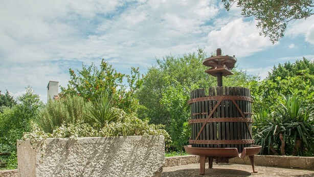 A garden with a large planter and a rustic water feature. - Apartments Pharos (Stari Grad)
