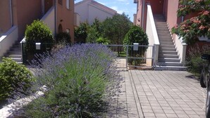 Un patio empedrado con un arbusto de lavanda, una puerta de metal y una escalera que conduce a un edificio.