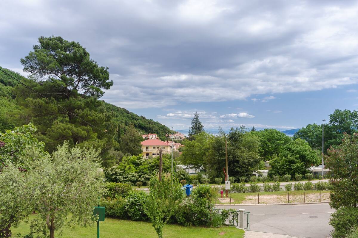 A residential area with houses, a green park, and a road.