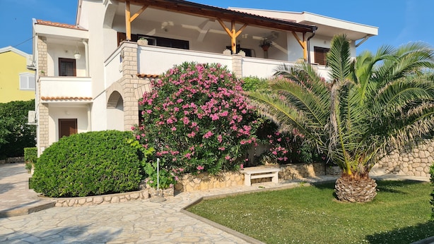 A two-story house with a stone facade, a balcony, and a garden with a palm tree and flowering plants. - Apartments Ivo (Pag)