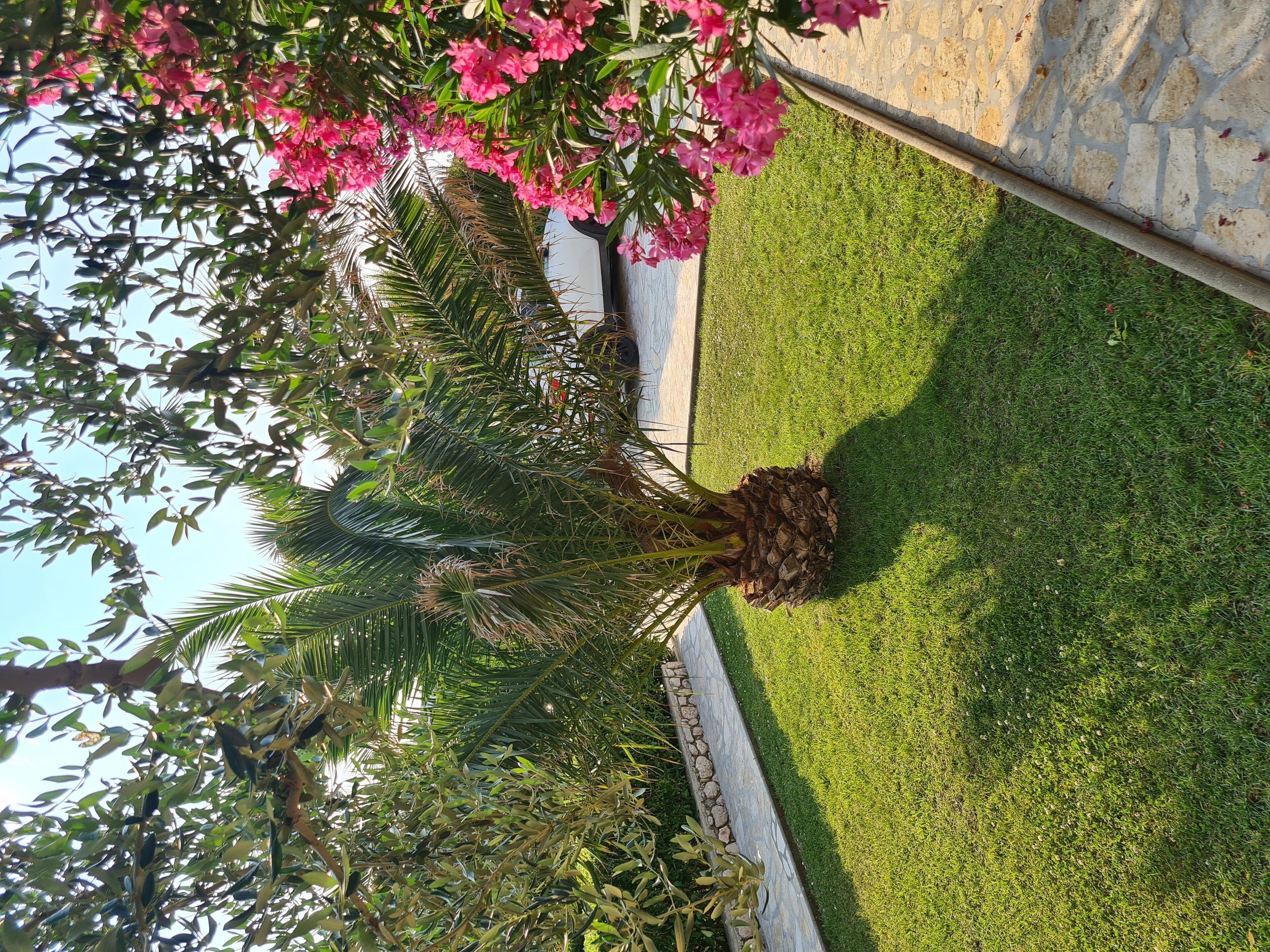 Apartment (A3) | Property grounds