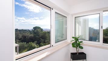 Apartment (A2) | Ansicht von oben