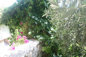 Eine Steinmauer, dicht bewachsen mit Grün und rosa Blüten.