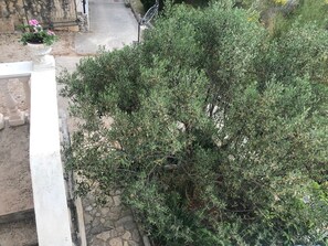 Apartment (A2) | Aerial view