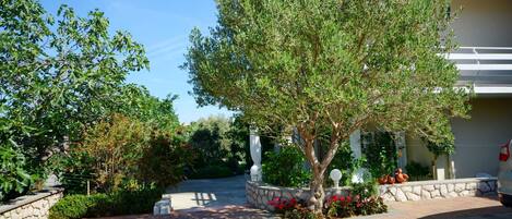 A paved driveway leading to a building with a stone wall and a tree in the center.