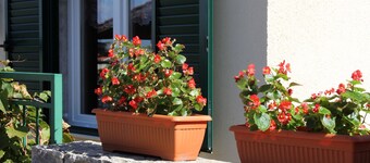 Apartment Andrija