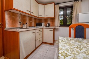 Apartment (A2) | Private kitchen | Fridge, microwave, oven, stovetop