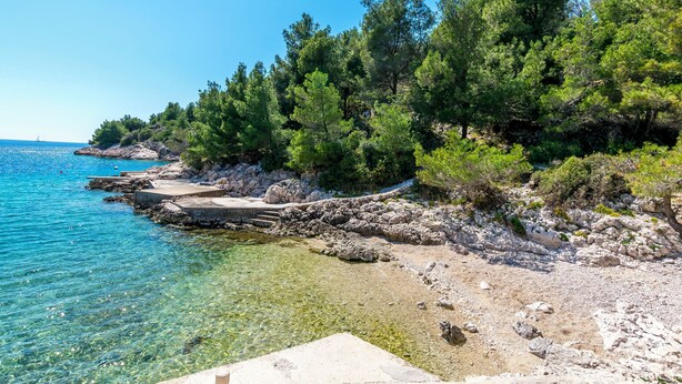 Una spiaggia rocciosa con acqua cristallina e alberi verdi e rigogliosi.