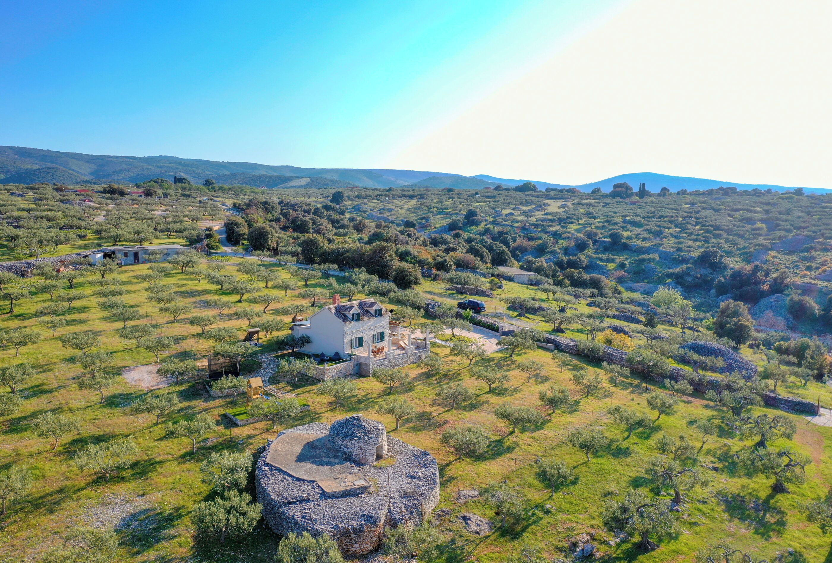 A rural landscape with a white house surrounded by olive groves and a stone structure.