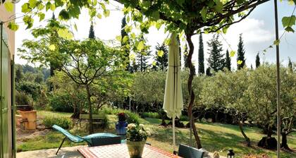 Villa au pied du Mt Ventoux, avec jardin de 700m2 arborĂ© dâarbres fruitiers