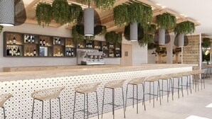 Una zona de bar con una barra alargada, diversas opciones de asientos y plantas colgantes.