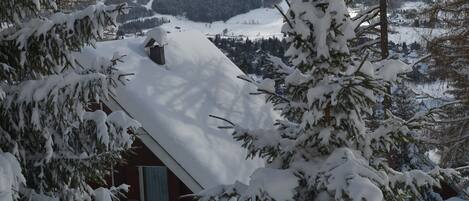 Terrain de l’hébergement