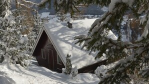 Uklassifisert bilde, 3 av 23, knapp