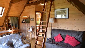 Televisie, een open haard, een dvd-speler en een filmbibliotheek