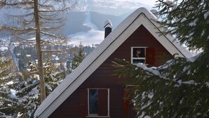 Eksteriør
