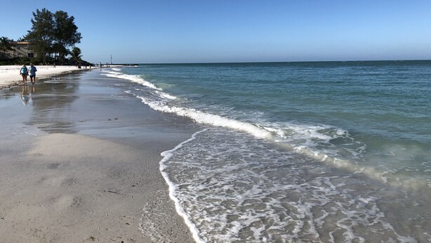 A beach with clear water, a sandy shore, and a few people walking. - Tranquil private pool home near Siesta Key Beach
 (Sarasota)