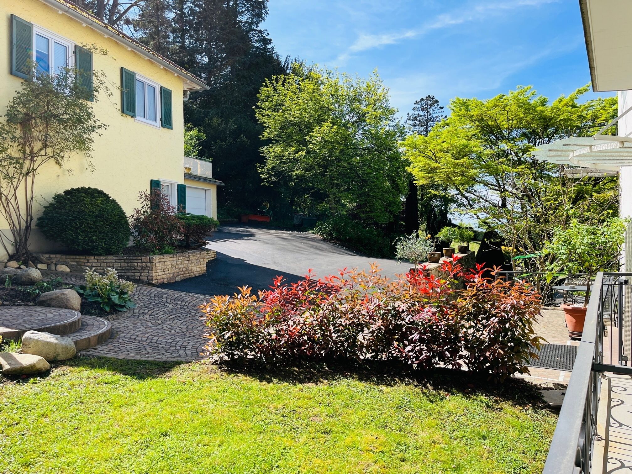 A residential street with a yellow house, a paved driveway, and a variety of plants and shrubs.