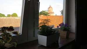 Janela com vista para um edifício com cúpula e torre. Há plantas em vasos no parapeito da janela.