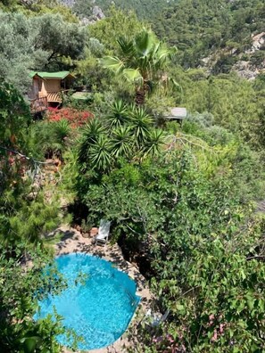 A pool surrounded by lush greenery and a small wooden structure. - Turan Hill Lounge (Fethiye)