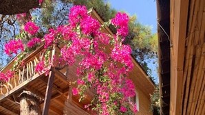 Eine Holzhütte mit Balkon, umgeben von Bäumen und rosa Blüten.