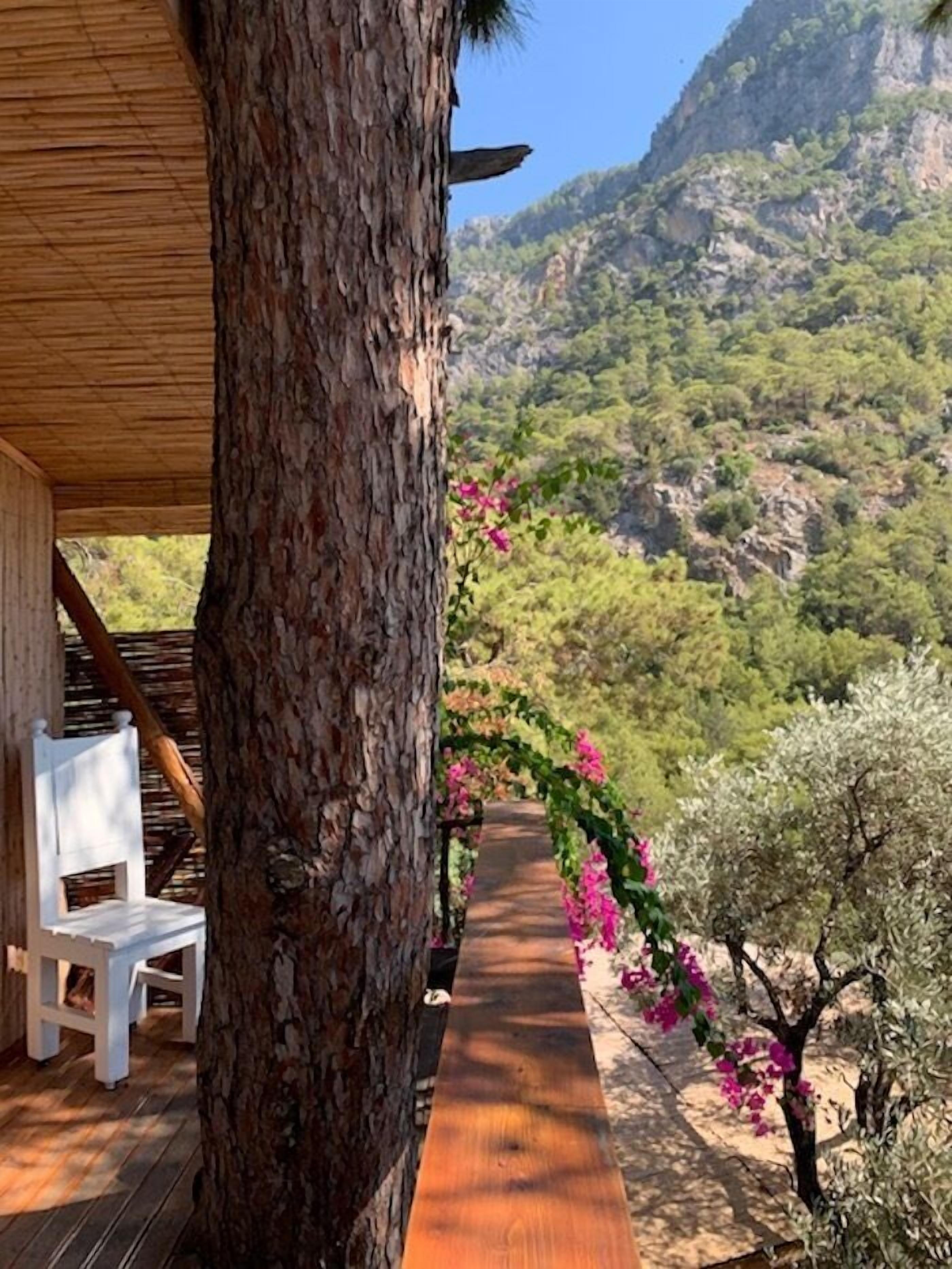 A wooden deck with a bench, a tree, and a pathway leading to a mountainous landscape.