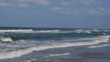 Playa en los alrededores