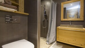 A bathroom with a shower, toilet, and vanity with a mirror. - Beautifully appointed mountain studio, close to the village of Megève, sleeps 4. (Megève)