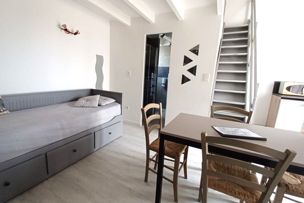 PiÚce de vie avec canapé lit 2 places, cuisine aménagée et équipée.