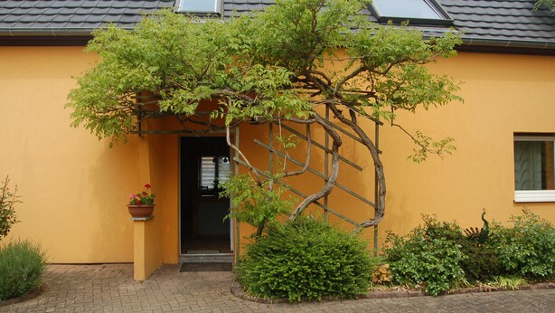 Una casa groga amb teulada de rajola, un jardí petit i una planta en test.