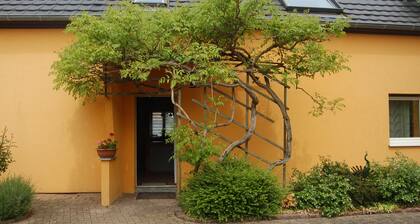 Gite in the shade of linden