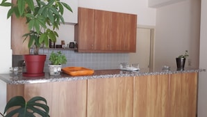 A kitchen with wooden cabinets, a granite countertop, and potted plants. - Nestor (Zacharo)