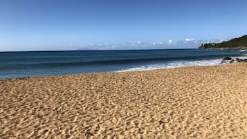 On the beach, sun-loungers